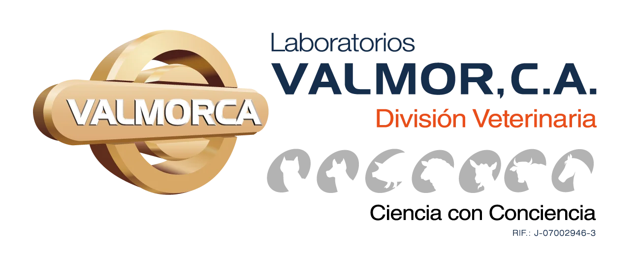 Valmorca